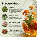 The four plants in every drop: cleavers, stillingia, red clover, prickly ash bark
