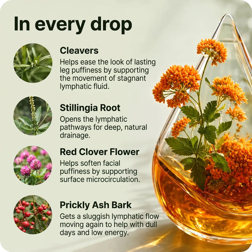 The four plants in every drop: cleavers, stillingia, red clover, prickly ash bark